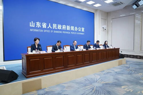 以“一業(yè)一策”精準(zhǔn)施策，賦能湛江軟件開發(fā)拓寬國際市場新格局——答記者問